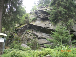 Rehhübel