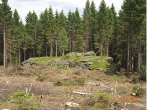 Genesenstein