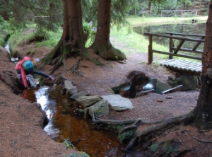 Kleines Wasserrad im Wald