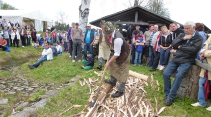 140531 schaelen der Baumstaemme