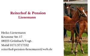 lienemann v2 lienemann v2